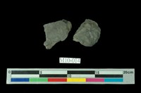 藏品(煽石)的圖片